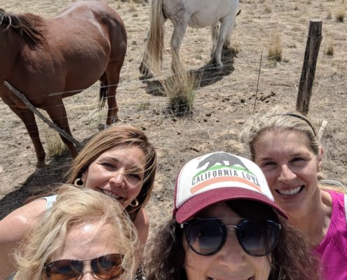 group photo of yoga attendees near horses