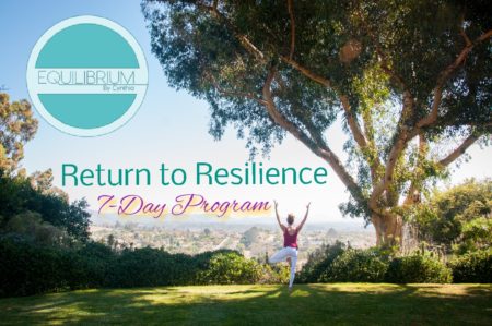 return to resilience