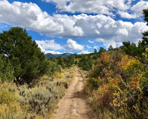 hiking trail in colorado