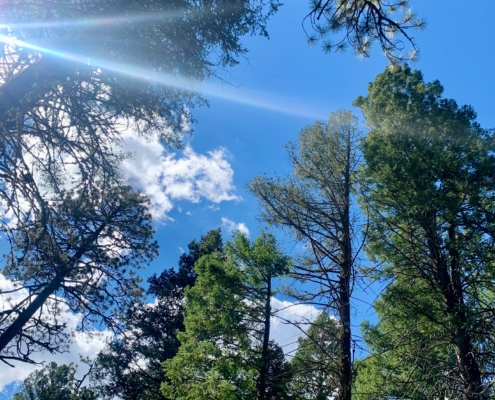 beautiful blue sky in colorado